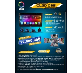 OLED C8S